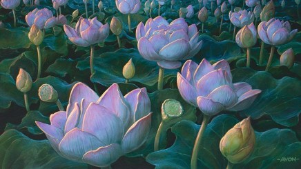 Lotus Field Art by John Avon