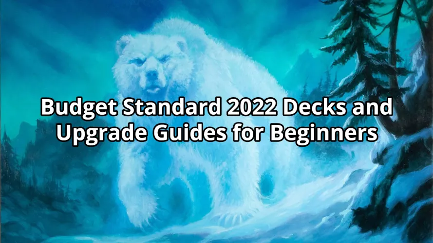 Budget Standard 2022 Decks and Upgrade Guides for Beginners